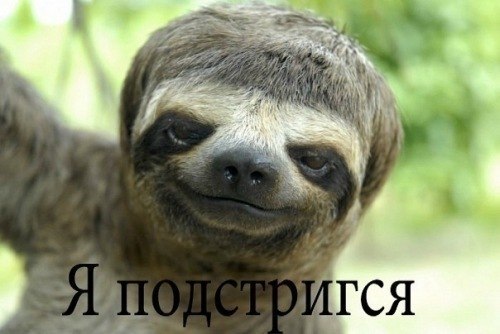 Фото профиля