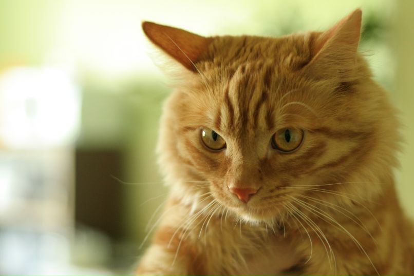 Slava Stereo | Владивосток