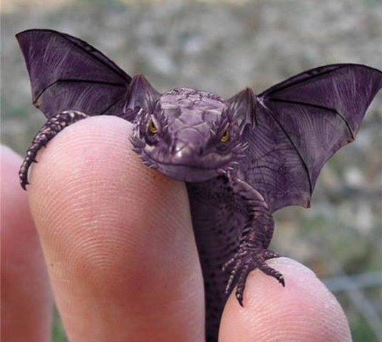 №79, Светлана Пустовалова, Сочи №79, Светлана Пустовалова, Сочи