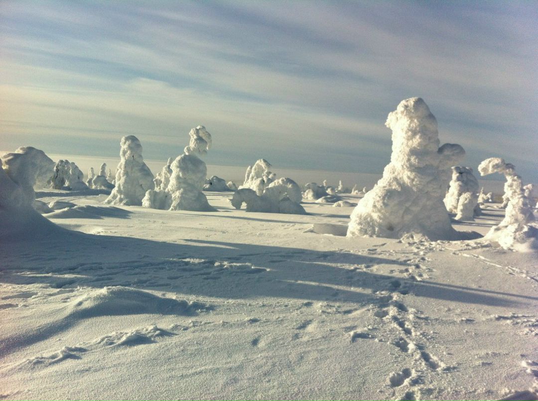 Сергей Обложок devys | Мурманск