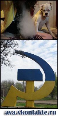 №41, Паша Танасиенко, Хмельницкий №41, Паша Танасиенко, Хмельницкий