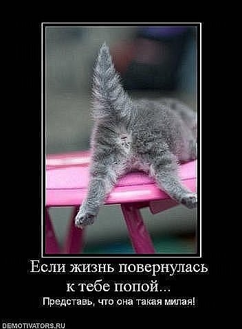 №10, Игорь К №10, Игорь К