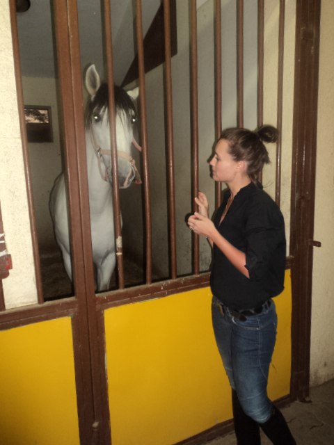 Елена Егорова | Москва