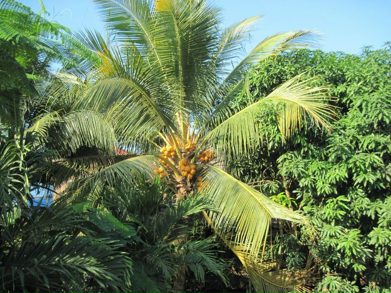 Тим Бешинкенов | Караганда