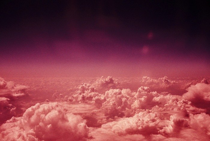 Наталья Нойманн | 