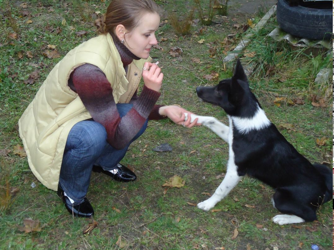 Григорий Простопчук | Голобы