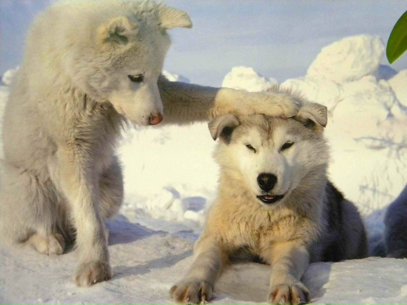 Юра Санин | Санкт-Петербург