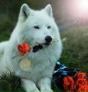 №12 Ленуся Львовна : профиль, фото, статус - ВКонтакте №12 Ленуся Львовна : профиль, фото, статус - ВКонтакте