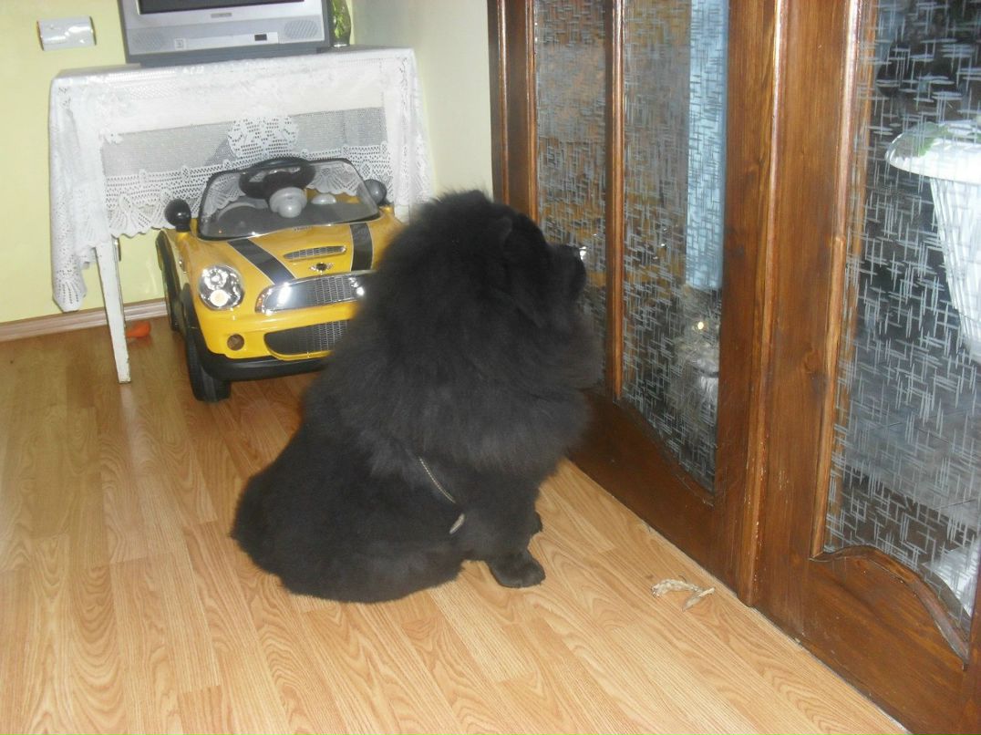 Марія Луньова | Брошнев-Осада