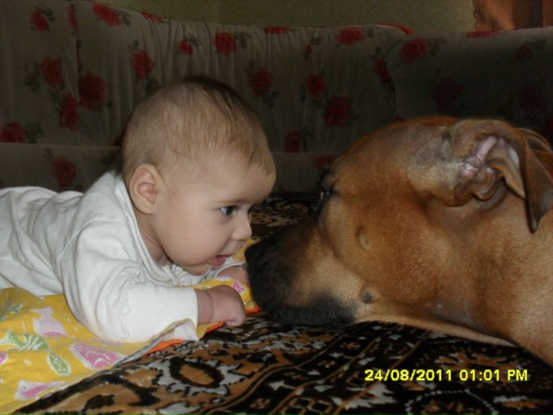 №12, Иван Солнцев №12, Иван Солнцев