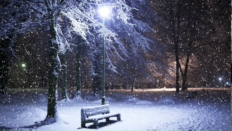 Аліна Губар | Сумы