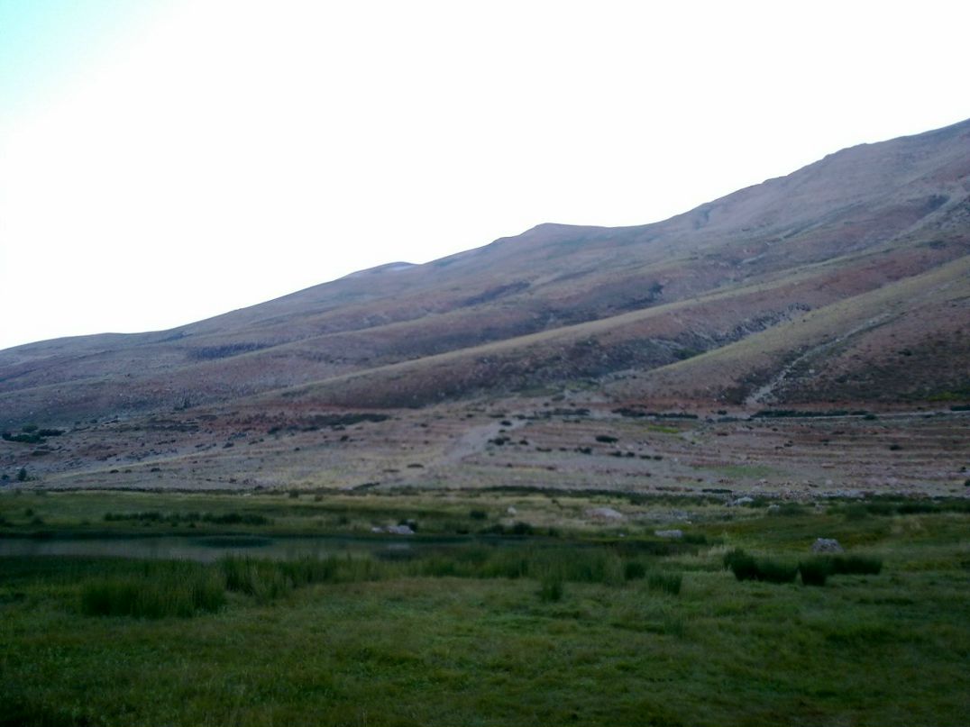 Аббас Сайед | Beirut