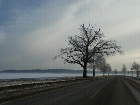 Игорь Будник | Москва