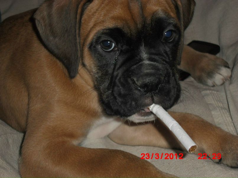 Анатолий Гончаров Deputat:) | Киев