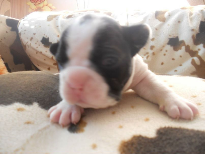 Джудит Домаскина | Одесса