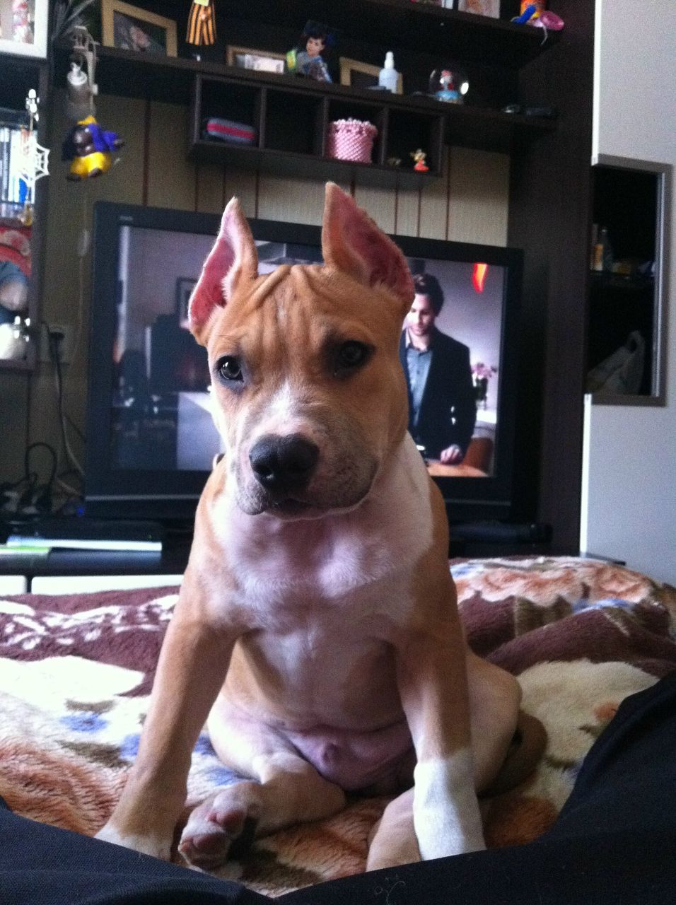 Никита Крымин | Санкт-Петербург