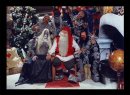 Фотография Трегубова Вадима