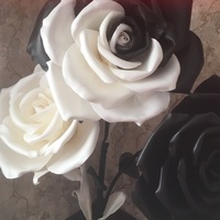 Ольга Редина | 