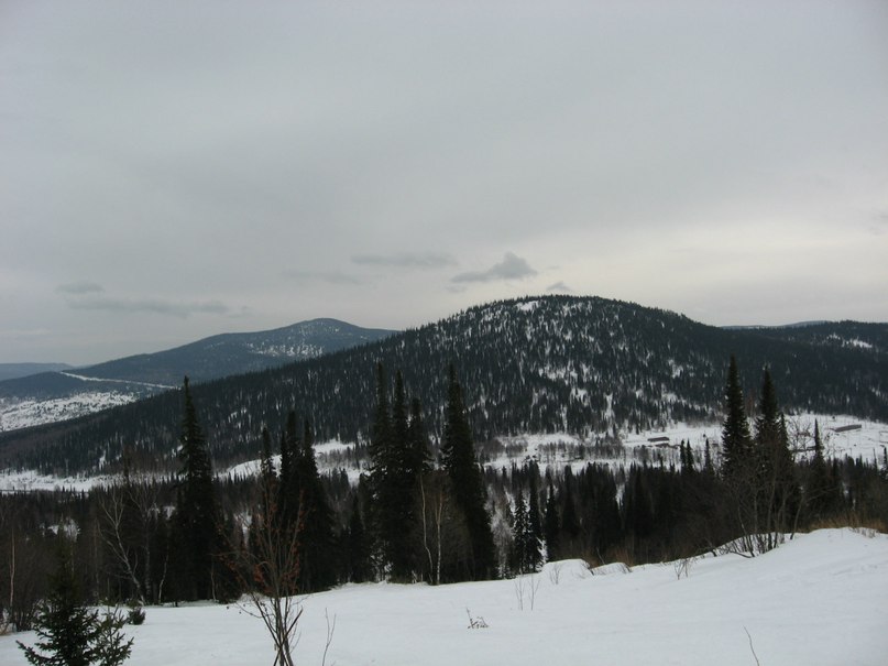 Алексей Стешковский | Новосибирск