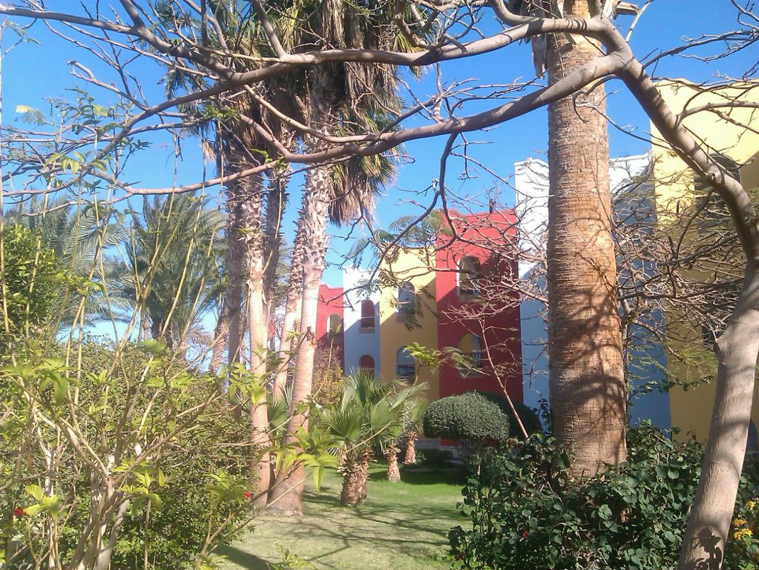 Владимир Бичев | Воронеж