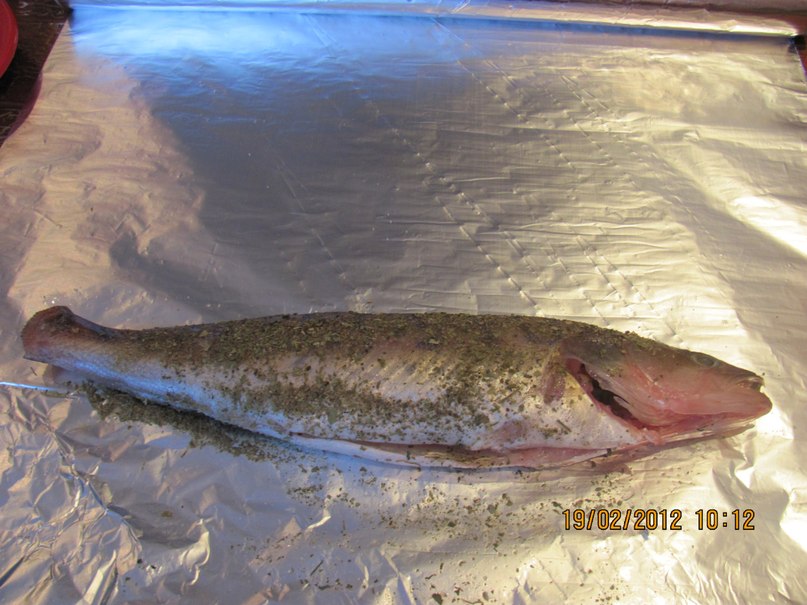 Николай Толмачёв | Пермь