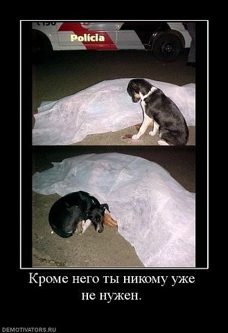 Вадим Сварной | Житомир