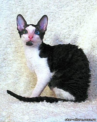 Татьяна Черемных | Иркутск