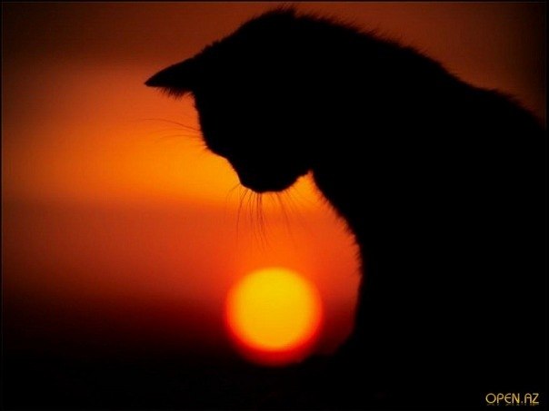 Сергей Бородин | Железногорск