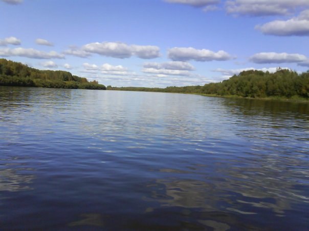 Дмитрий Трушев | Вологда