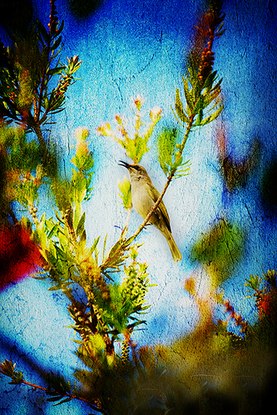 Арина Фролова | Москва