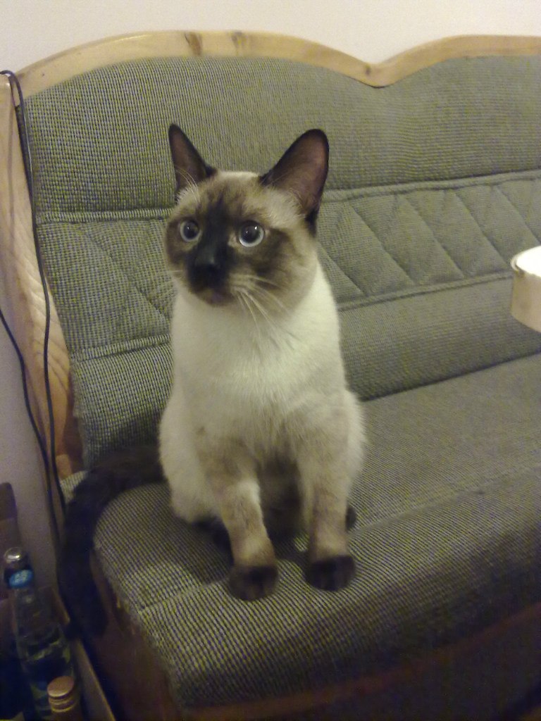 Ирина Лоян | Санкт-Петербург