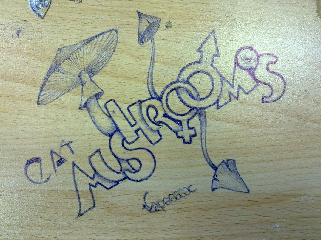 Вадим Татаркин | Санкт-Петербург