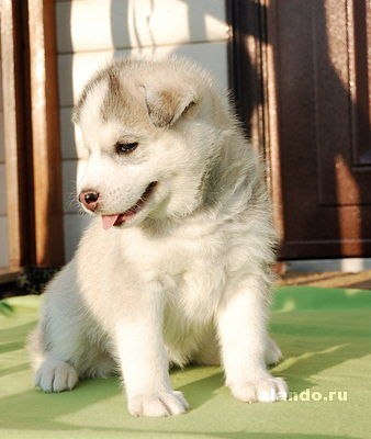 Оксана Подолюк | Ивано-Франковск