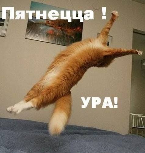 Айгуль Файзуллина | Уфа