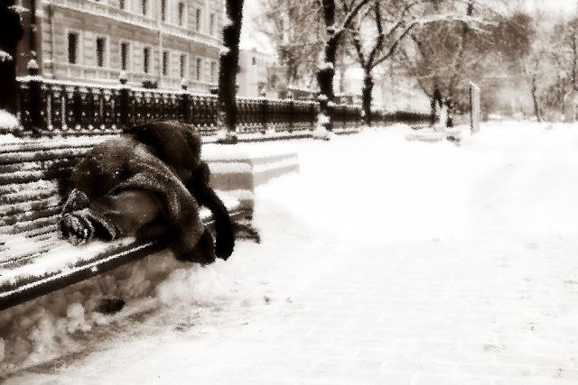 Владимир Бодров | Камень-на-Оби