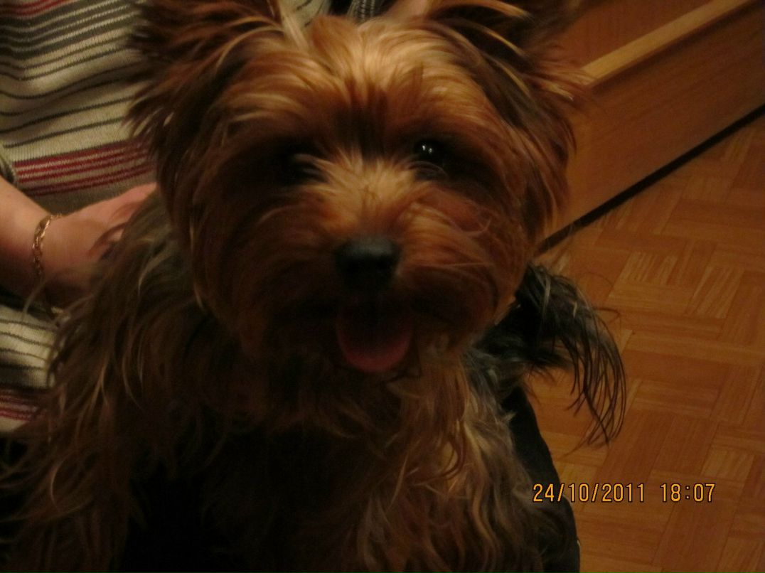 Паша Блашников | Санкт-Петербург