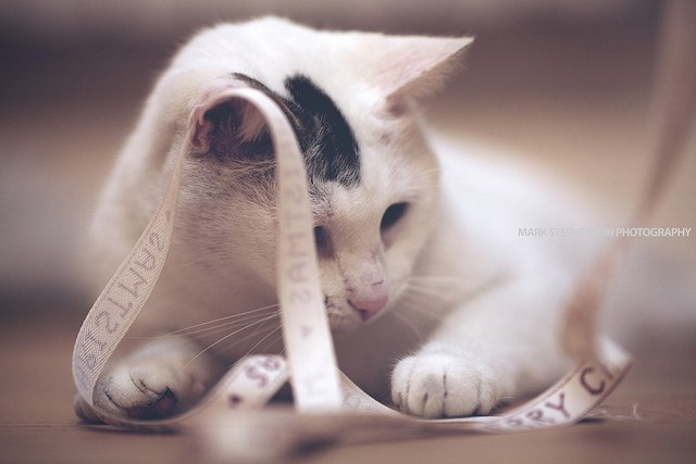 Екатерина Осюхина | Санкт-Петербург