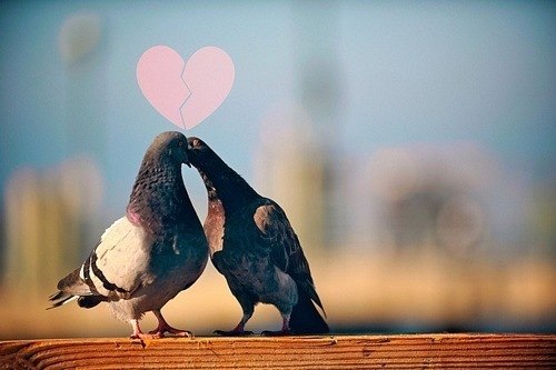 Антон Иванов | 