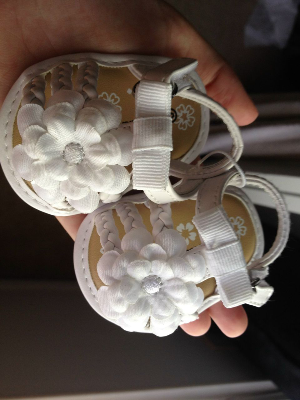 Ольга Кучинская Cabassa | Newport News