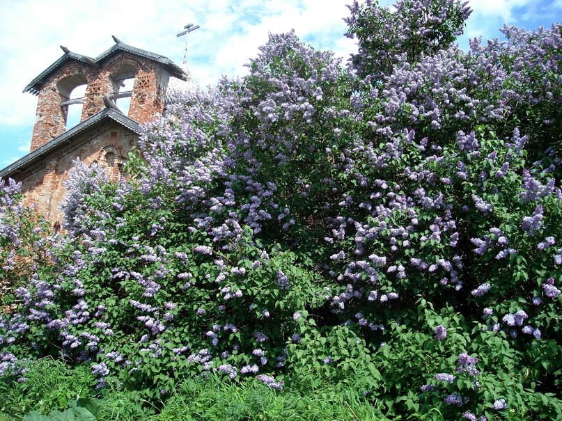Александр Томас | Москва