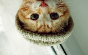 Мария Ескова | Симферополь