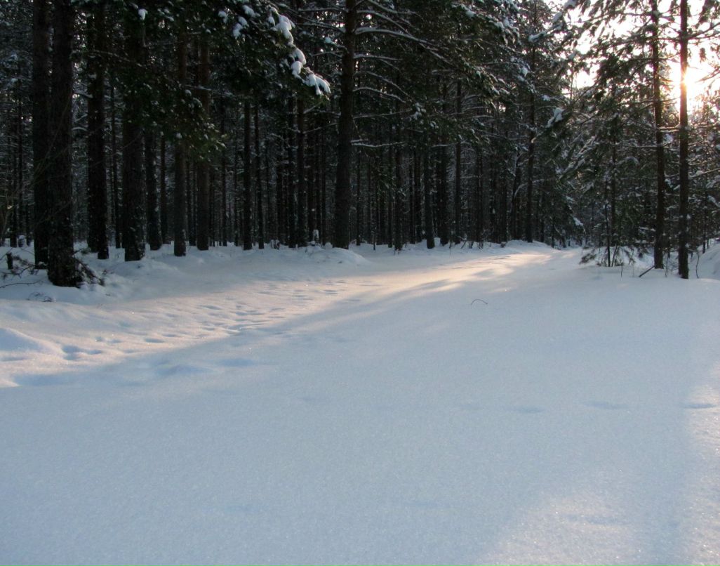 Юрий Лесков | Санкт-Петербург