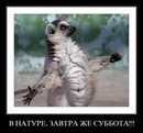 Фотография Демидова Александра