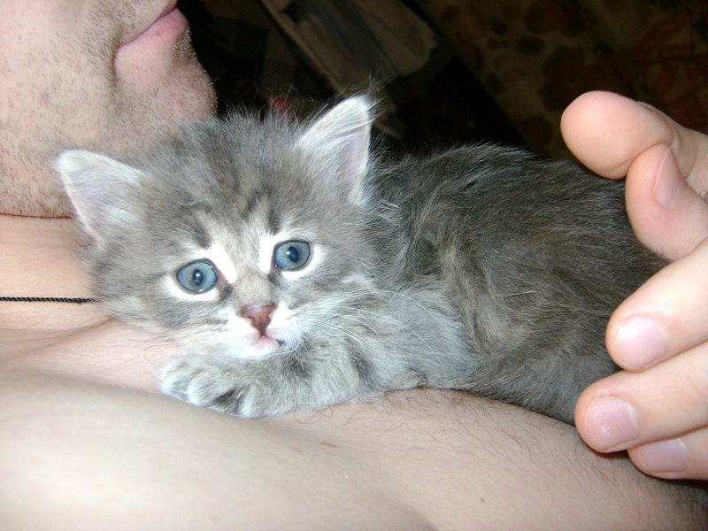 Олька Облакова | Нижний Новгород