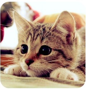 Никита Сабанов | Самара