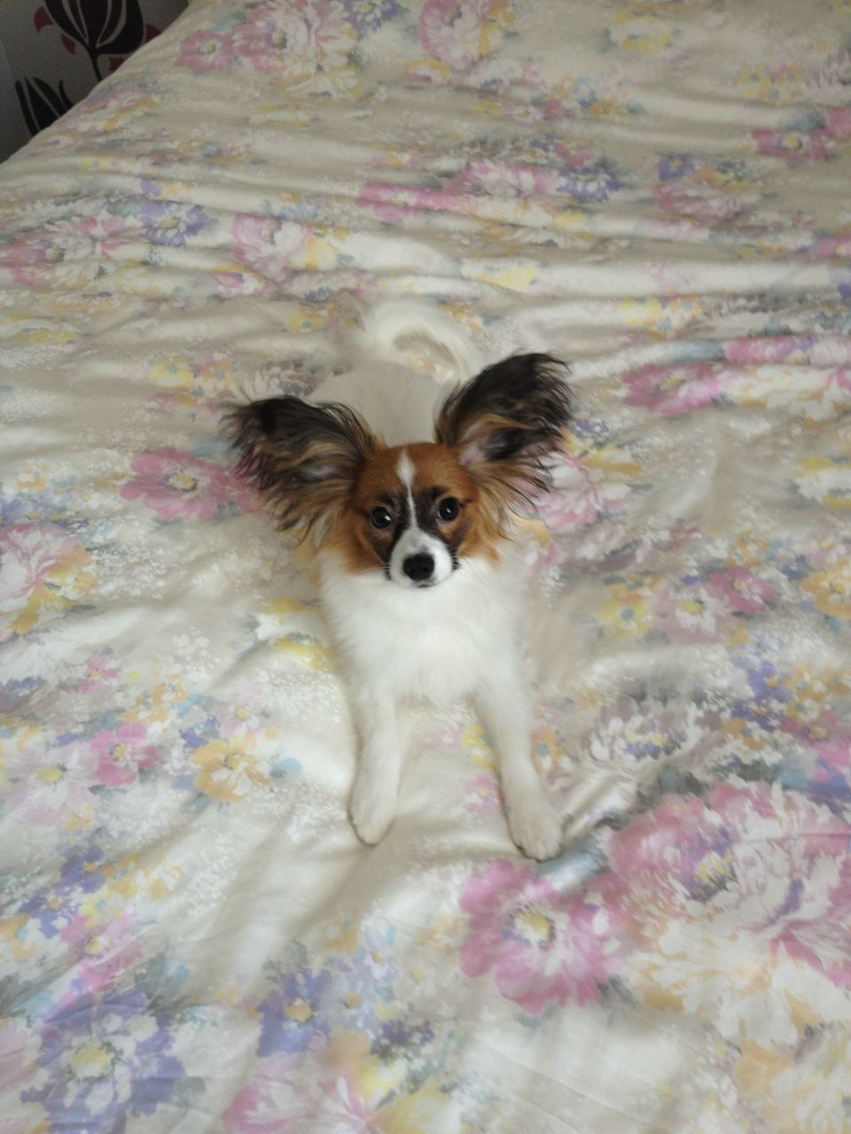 Кристина Филатова | Stockholm