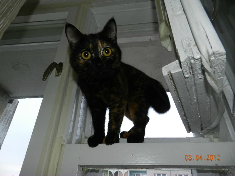 Ольга Гусева | Алатырь