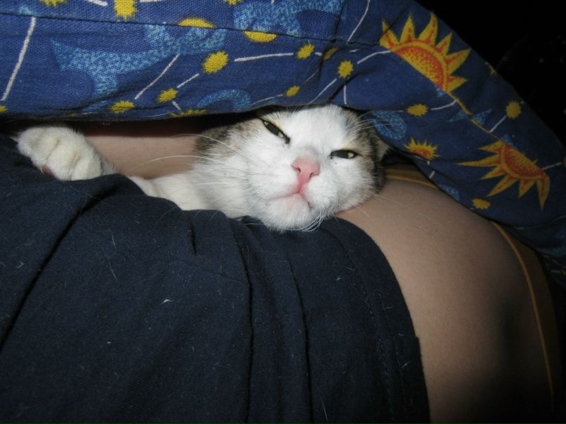 Дмитрий Теринов | Екатеринбург