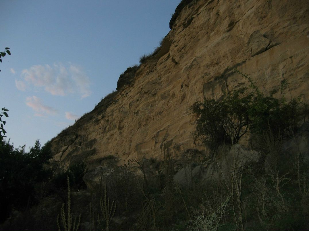 Игорь Голощенко | Тирасполь