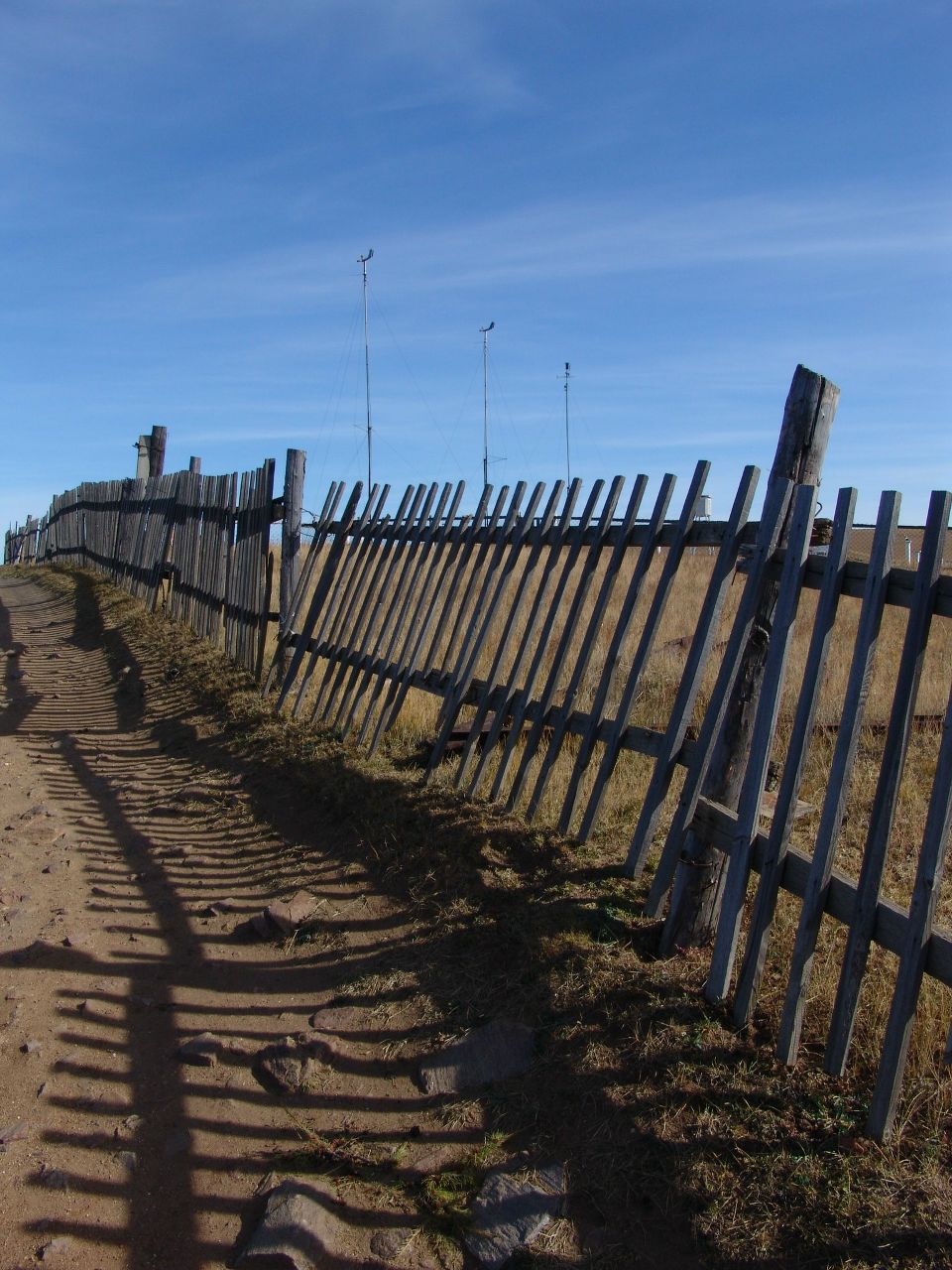 Илья Шевель Витальевич | Москва